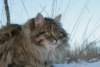 Photo Number 13