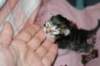dudel6boy4_small.jpg