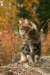Photo Number 13