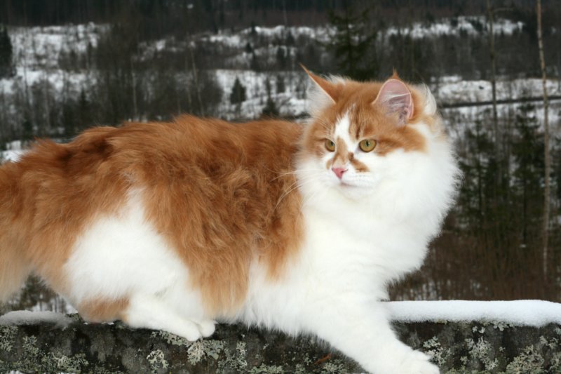 hiskia8kkhiskia8eightmonthsold.jpg