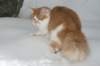 hiskia8kkhiskia8eightmonthsold29_small.jpg