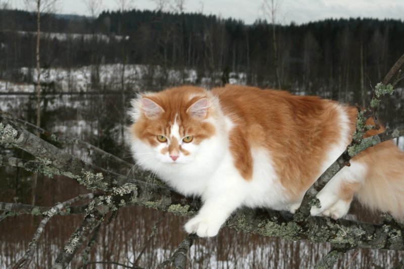 hiskia8kkhiskia8eightmonthsold3.jpg