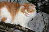 hiskia8kkhiskia8eightmonthsold54_small.jpg