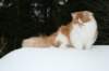 hiskia8kkhiskia8eightmonthsold65_small.jpg