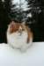 hiskia8kkhiskia8eightmonthsold76_small.jpg