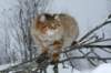 img_2475_small.jpg