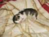 moosesboyoneweek203201021_small.jpg