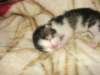moosesboyoneweek203201022_small.jpg