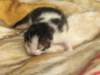 moosesboyoneweek20320107_small.jpg