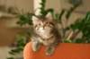 naomigirl67_small.jpg