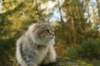 neriimg_9785_small.jpg