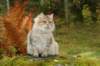 neriimg_9880_small.jpg