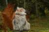 neriimg_9890_small.jpg