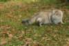 neriimg_9943_small.jpg