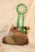 amurinneribestinshowkitten46monthsintallinnacatshow45201427_small.jpg