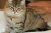 img_0859_small.jpg