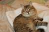 img_0860_small.jpg