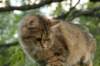 img_8666_small.jpg