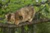 img_8700_small.jpg