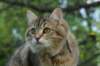 img_8712_small.jpg