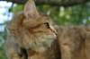 img_8719_small.jpg