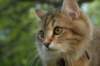 img_8720_small.jpg