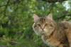img_8721_small.jpg