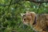 img_8722_small.jpg
