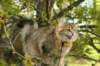 img_8746_small.jpg