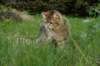 img_8779_small.jpg