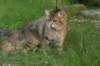 img_8780_small.jpg