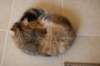 img_8794_small.jpg