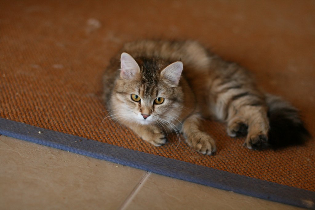 img_8808.jpg