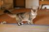 img_8817_small.jpg