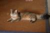 img_8821_small.jpg
