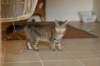 img_8829_small.jpg