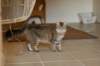 img_8830_small.jpg