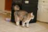 img_8831_small.jpg