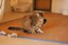 img_8834_small.jpg