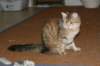 img_8836_small.jpg