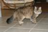 img_8839_small.jpg