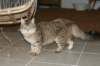 img_8840_small.jpg