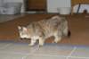 img_8842_small.jpg