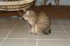 img_8844_small.jpg