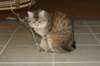 img_8845_small.jpg