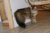 img_8847_small.jpg
