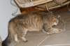 img_8848_small.jpg