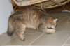img_8849_small.jpg