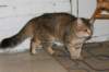 img_8851_small.jpg