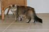 img_8852_small.jpg